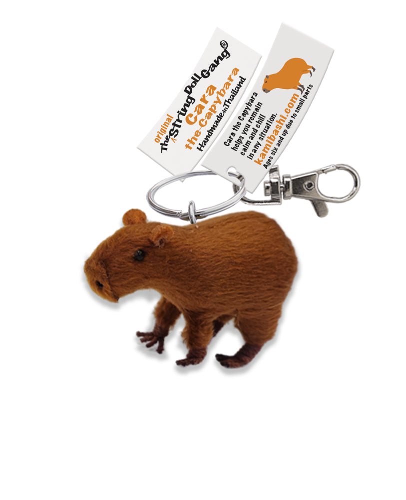 Cara the Capybara – Kamibashi