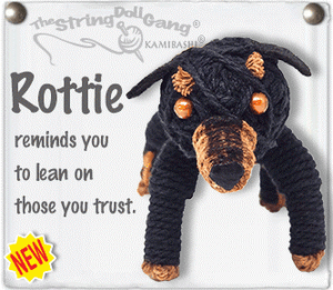 Rottie – Kamibashi