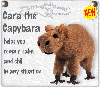 Cara the Capybara – Kamibashi