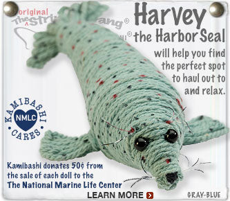 Harvey the Harbor Seal
