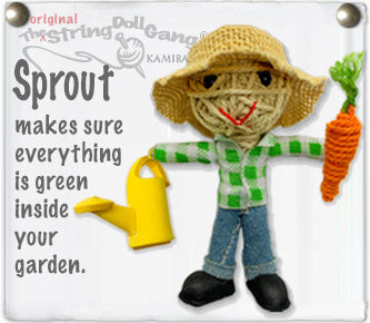 sproutboy_webpanel_grande.jpg?